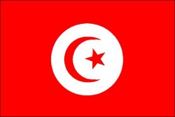 
Tunisia-CNDS
		-drapeau